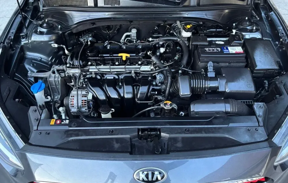 Fotografía en tamaño completo