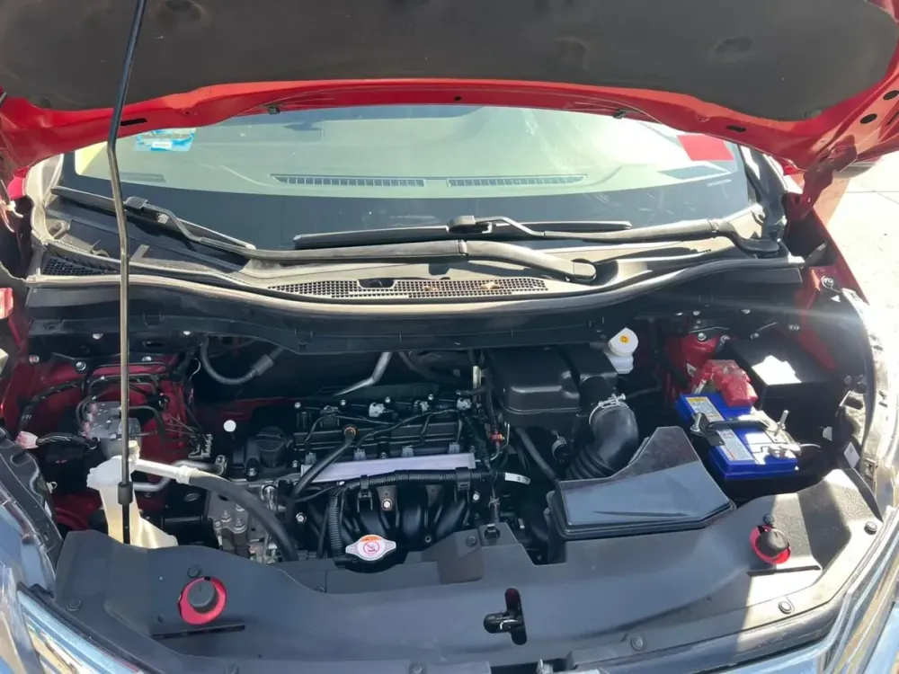 Fotografía en tamaño completo