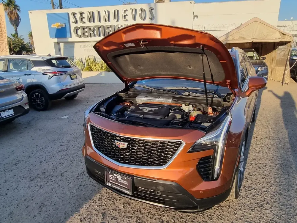 Fotografía en tamaño completo