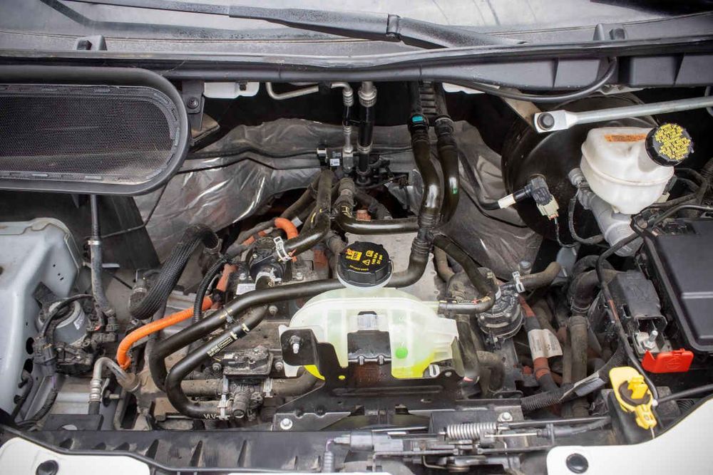 Fotografía en tamaño completo