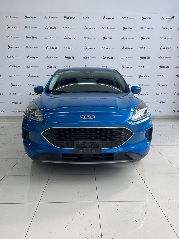 Fotografía en tamaño completo