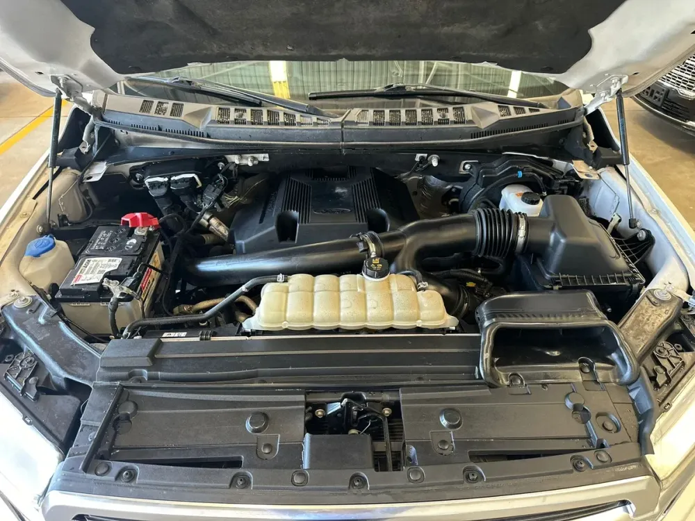 Fotografía en tamaño completo