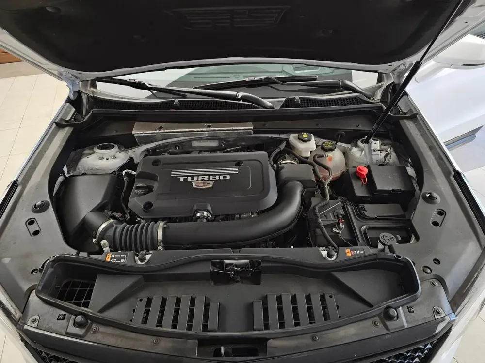 Fotografía en tamaño completo