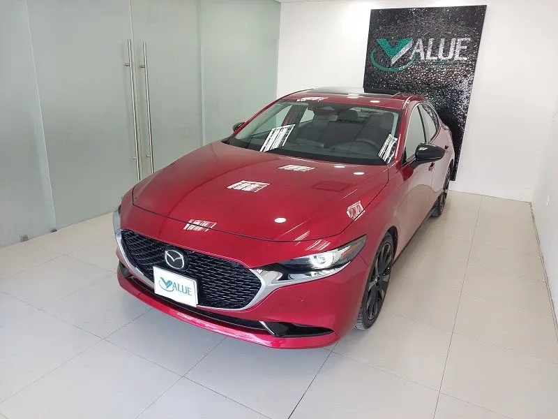 Fotografía en tamaño completo