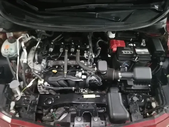 Fotografía en tamaño completo