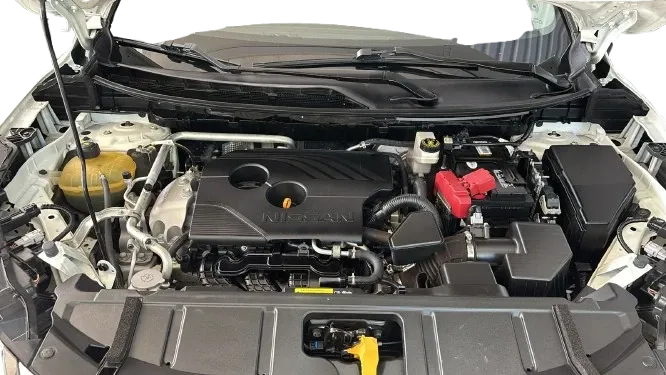 Fotografía en tamaño completo