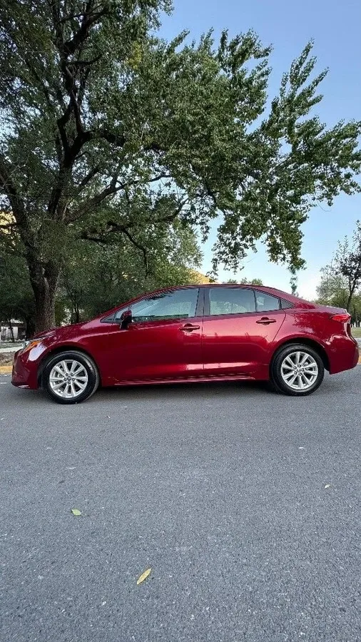 Fotografía en tamaño completo