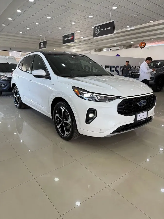 Fotografía en tamaño completo