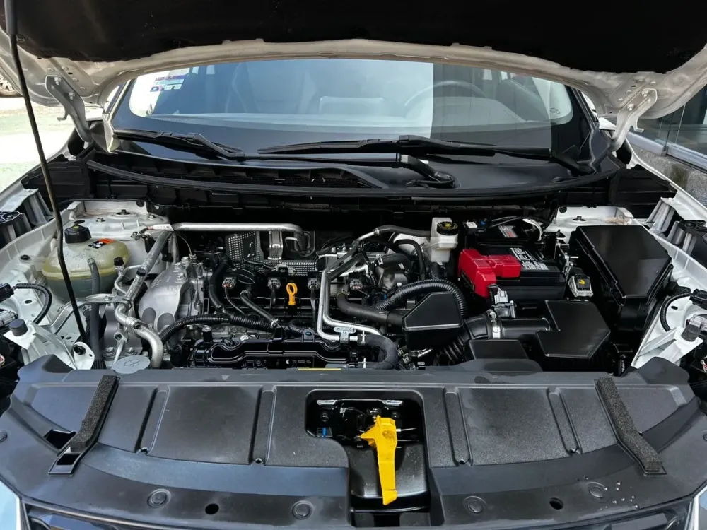 Fotografía en tamaño completo