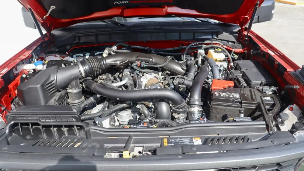 Fotografía en tamaño completo