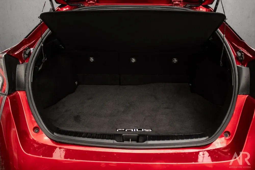 Fotografía en tamaño completo