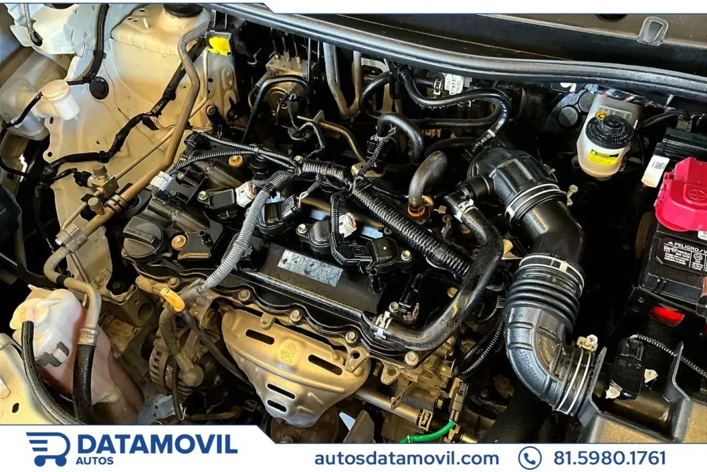 Fotografía en tamaño completo