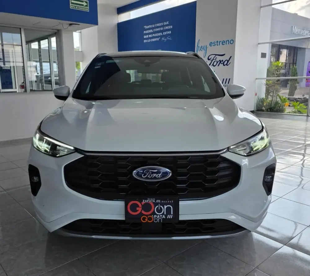 Fotografía en tamaño completo