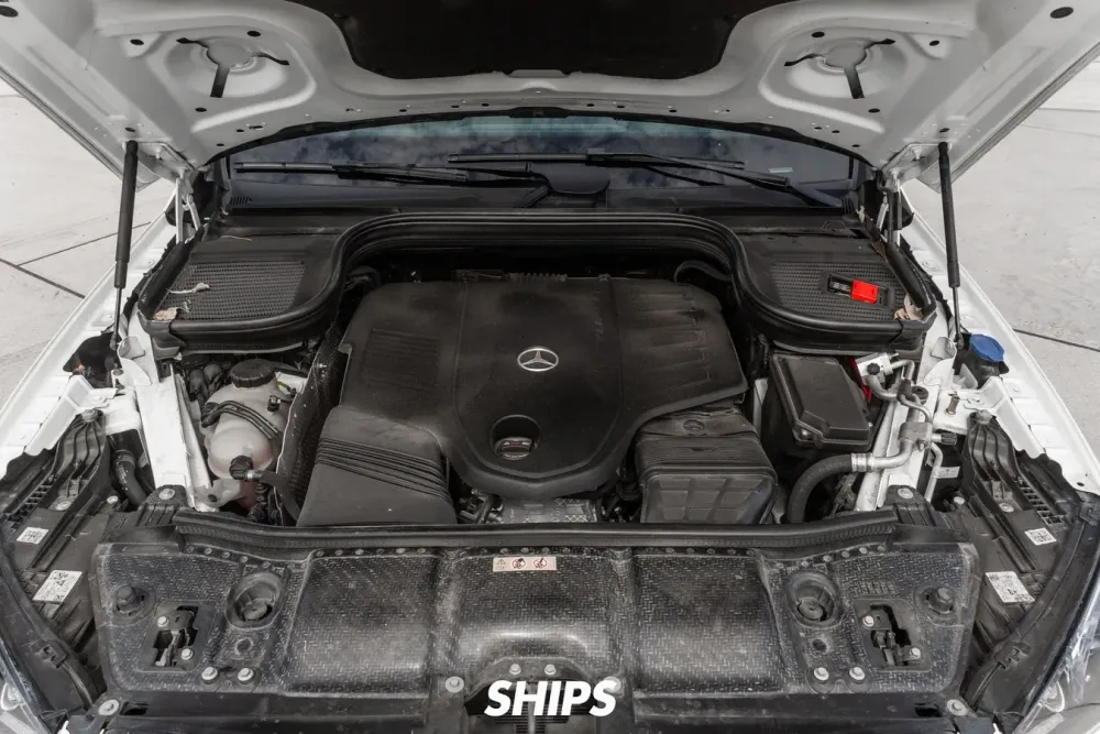 Fotografía en tamaño completo