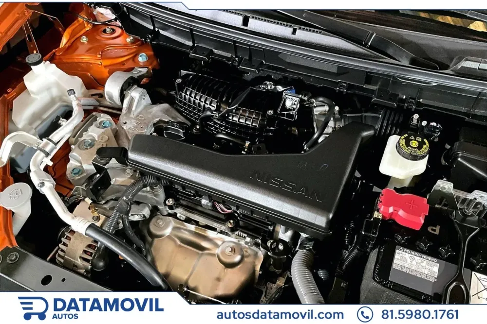 Fotografía en tamaño completo