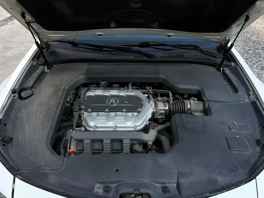 Fotografía en tamaño completo