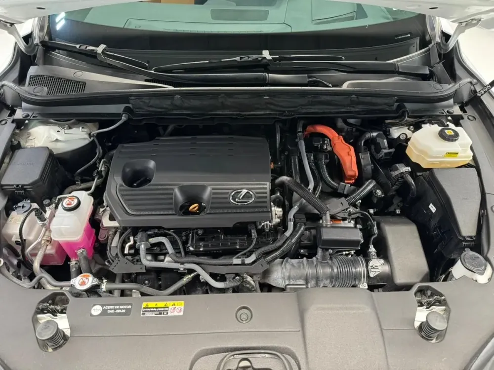 Fotografía en tamaño completo