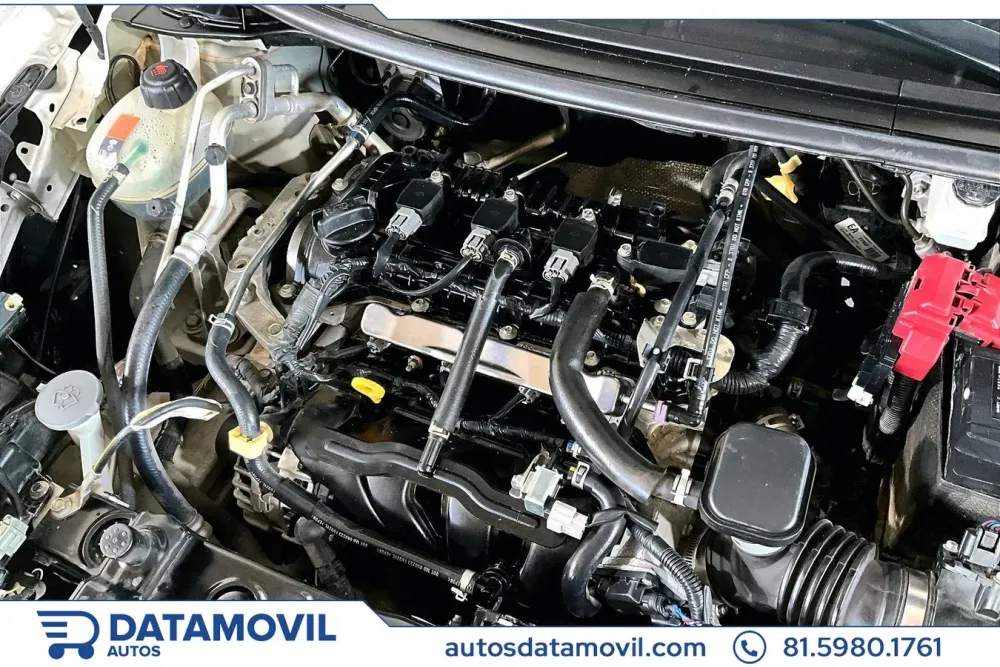 Fotografía en tamaño completo