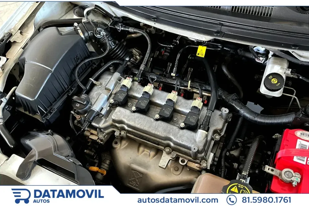 Fotografía en tamaño completo