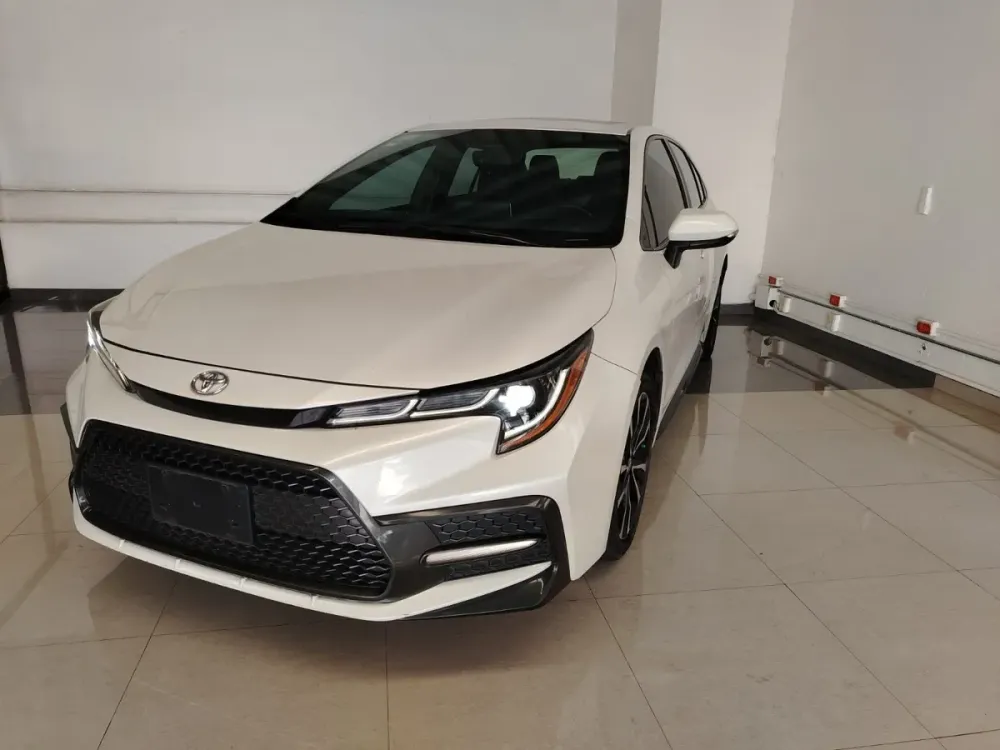 Fotografía en tamaño completo