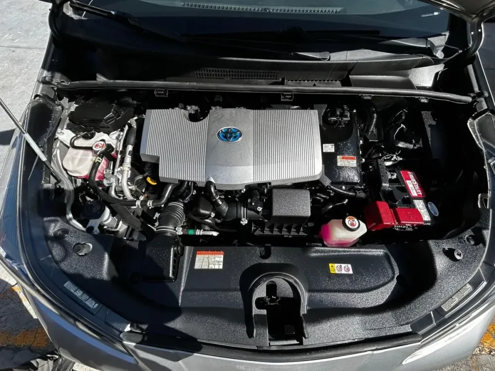 Fotografía en tamaño completo