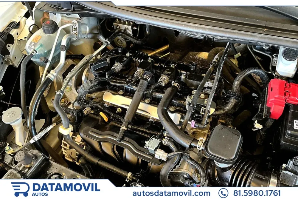 Fotografía en tamaño completo