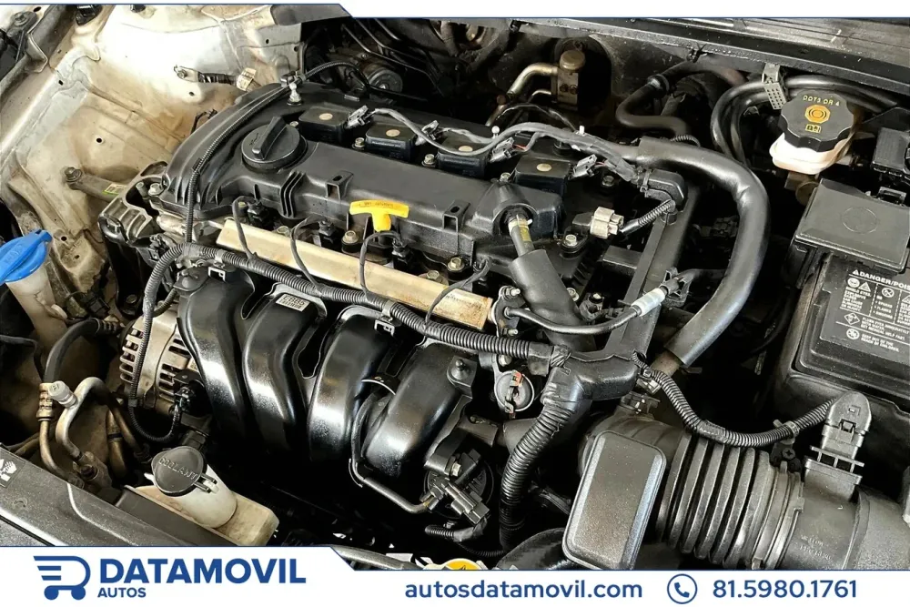 Fotografía en tamaño completo