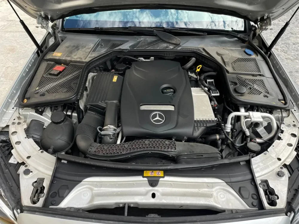 Fotografía en tamaño completo