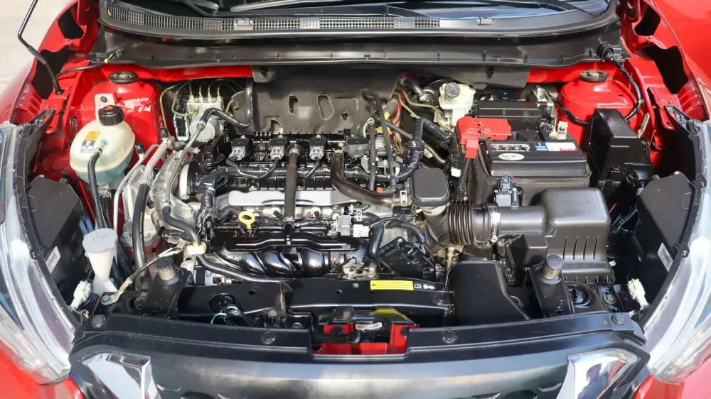 Fotografía en tamaño completo