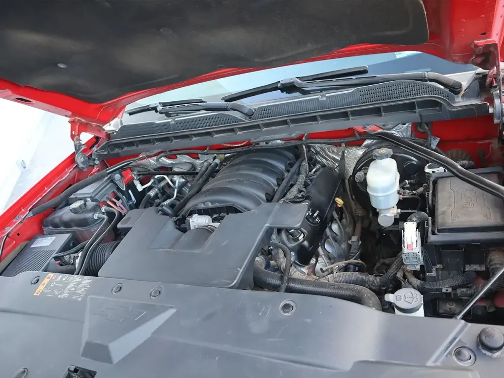 Fotografía en tamaño completo