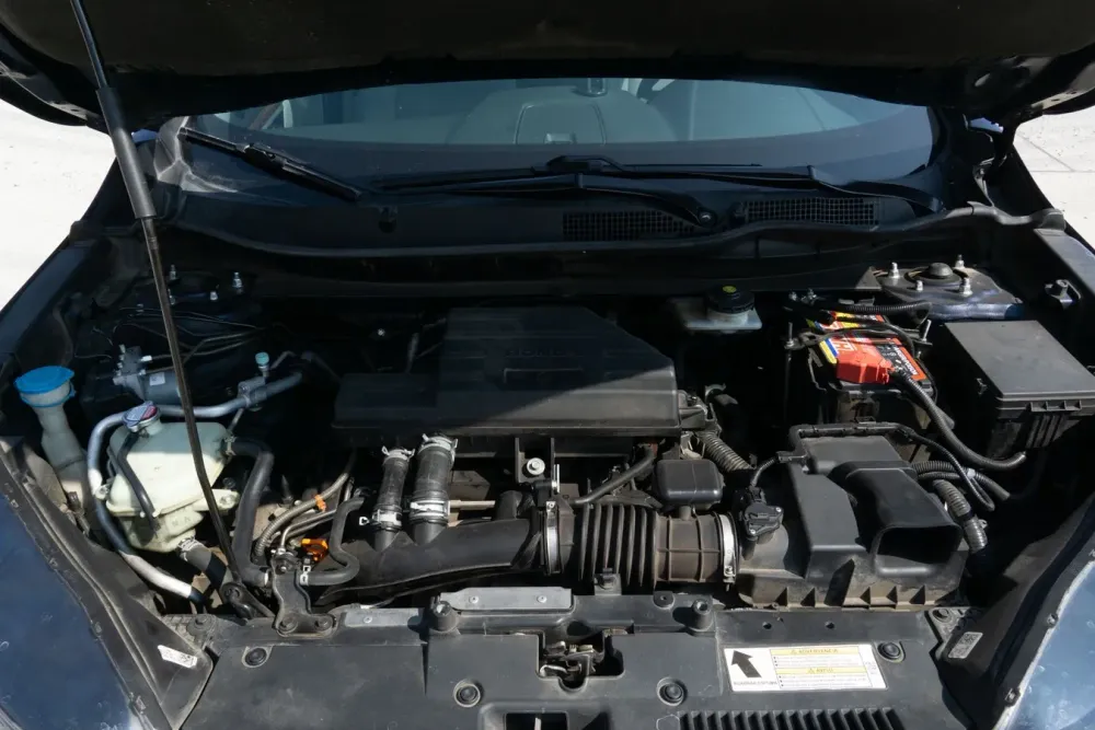 Fotografía en tamaño completo