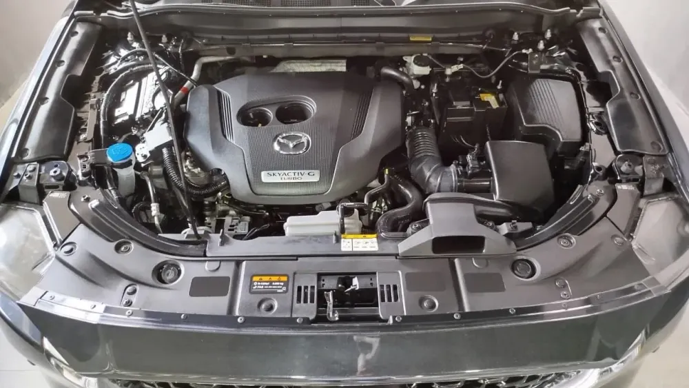 Fotografía en tamaño completo