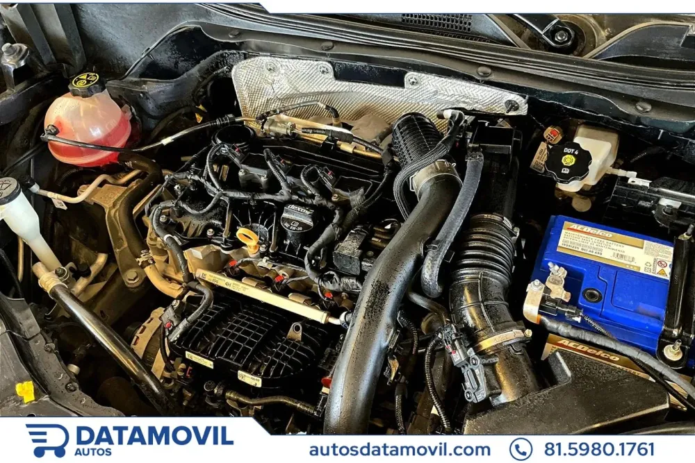 Fotografía en tamaño completo