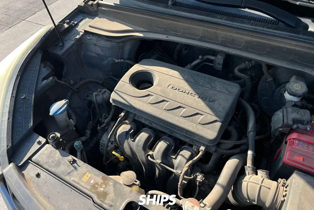 Fotografía en tamaño completo