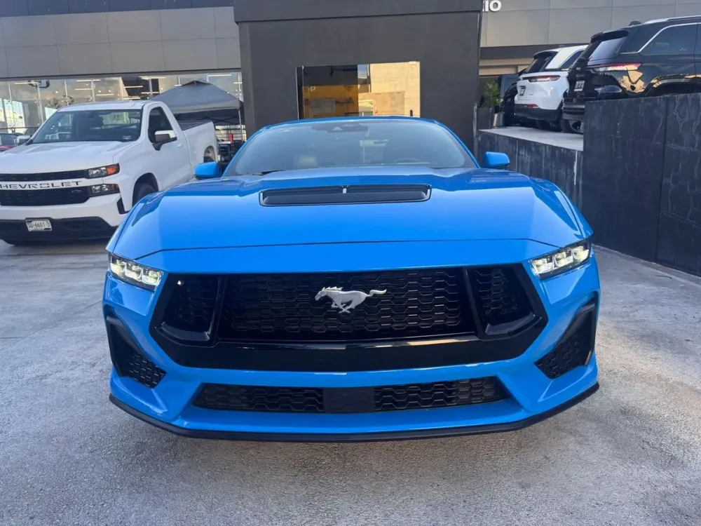 Fotografía en tamaño completo