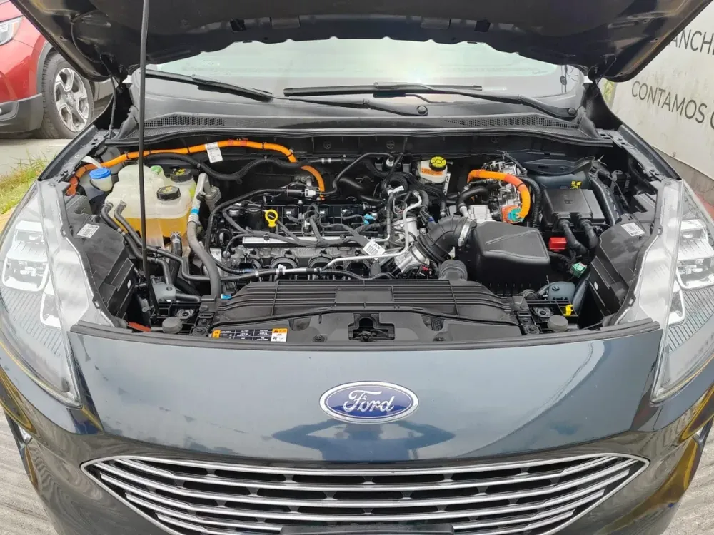 Fotografía en tamaño completo