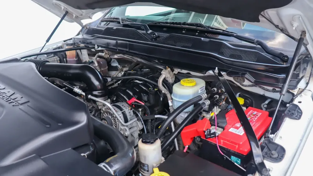 Fotografía en tamaño completo