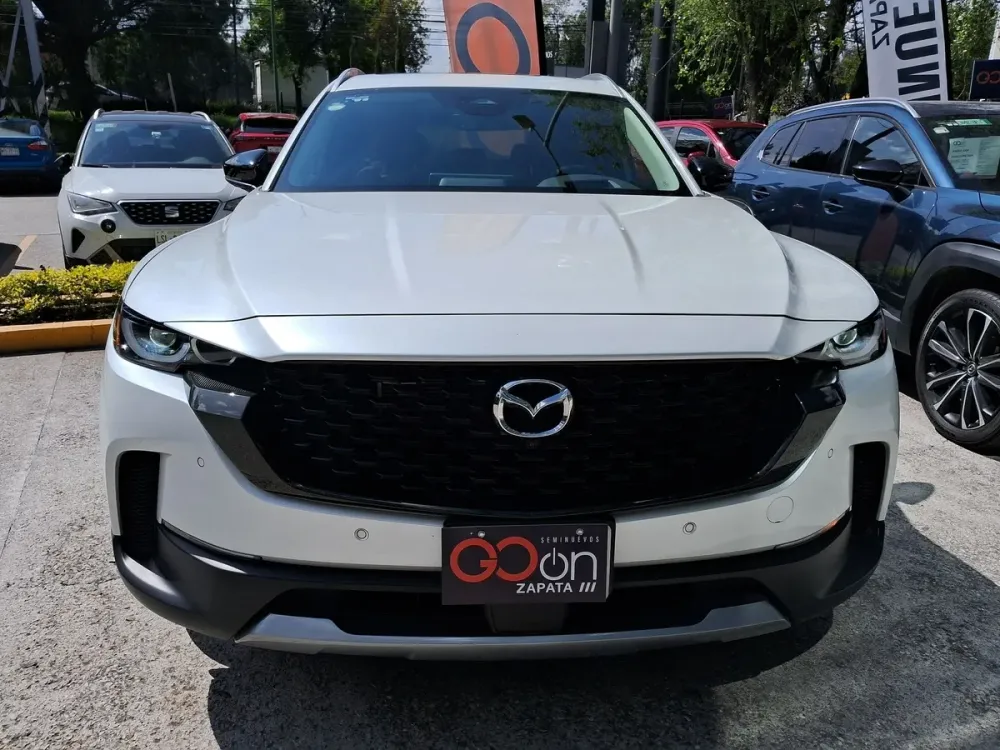 Fotografía en tamaño completo