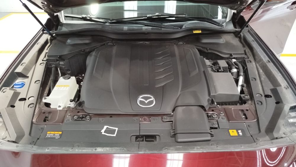 Fotografía en tamaño completo