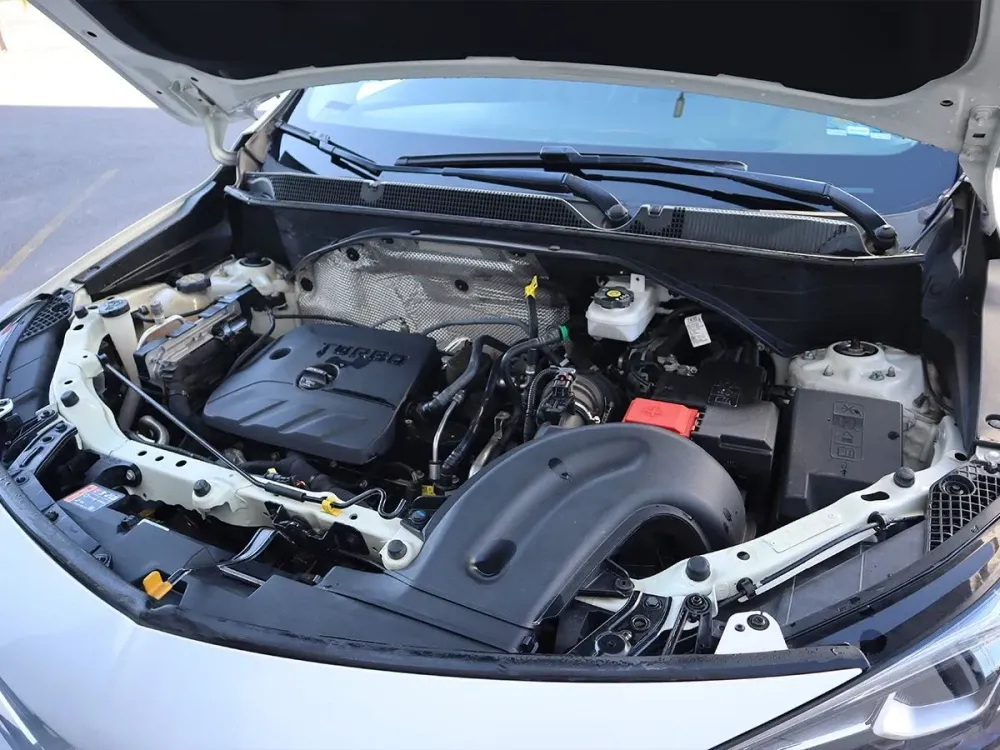 Fotografía en tamaño completo