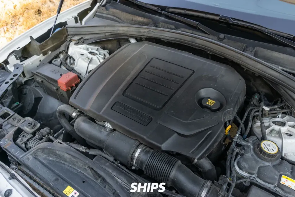 Fotografía en tamaño completo