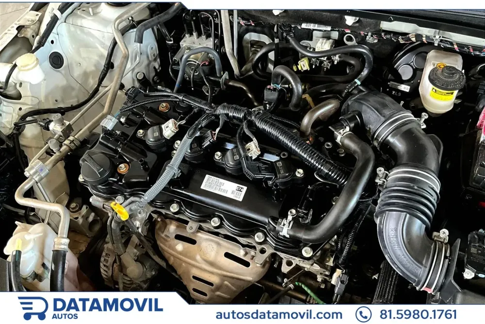 Fotografía en tamaño completo