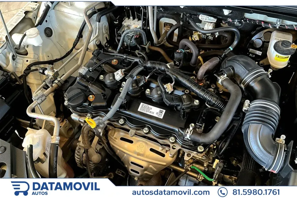 Fotografía en tamaño completo