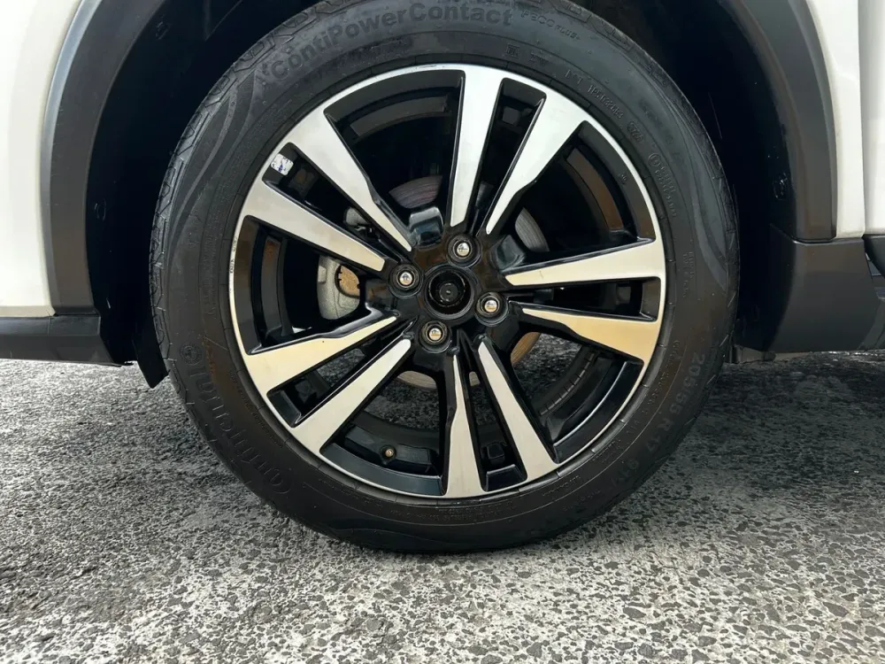 Fotografía en tamaño completo