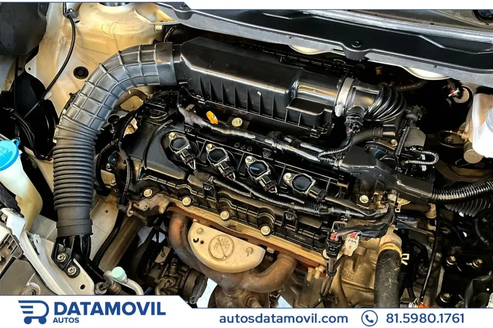 Fotografía en tamaño completo