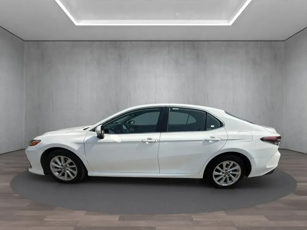 Fotografía en tamaño completo