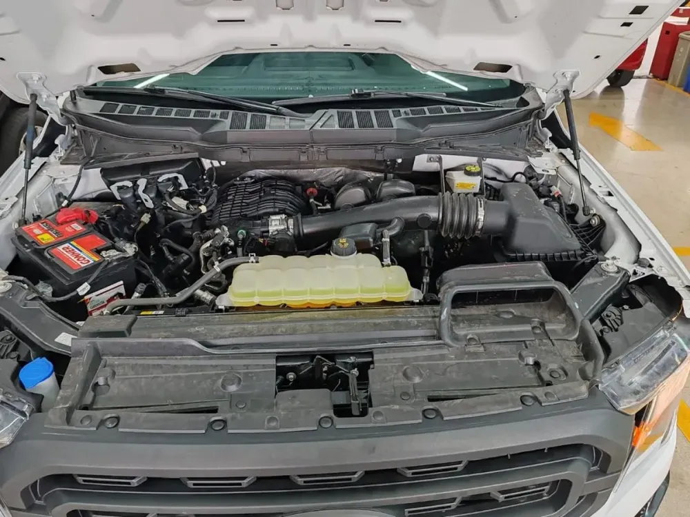 Fotografía en tamaño completo