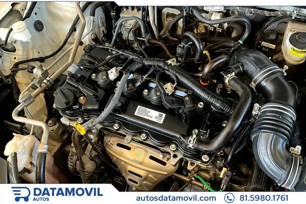 Fotografía en tamaño completo