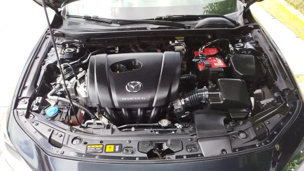 Fotografía en tamaño completo