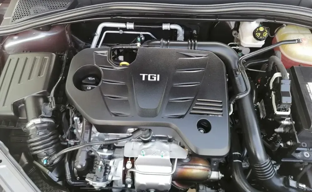 Fotografía en tamaño completo